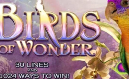 Birds of Wonder