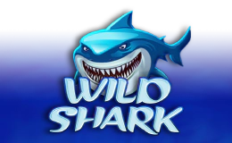 Wild Shark Bonus